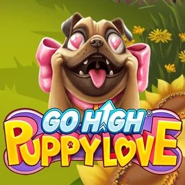 Go High Puppy Love slot logo by RubyPlay at Spinfin Casino