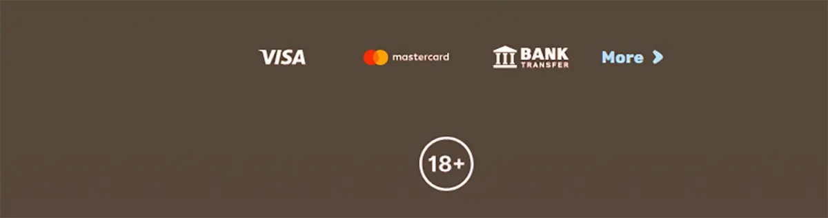 Footer-style payment section displaying accepted methods including Visa, Mastercard, and bank transfer, along with a “More” option and an 18+ age restriction icon indicating adult-only content