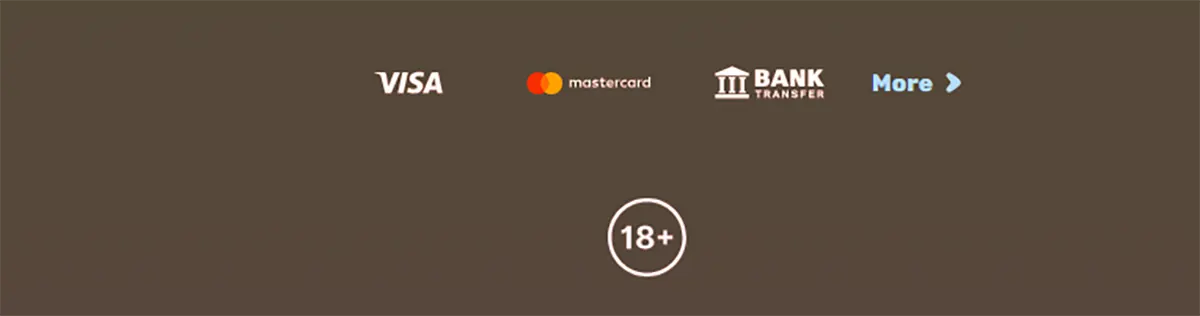 Footer-style payment section displaying accepted methods including Visa, Mastercard, and bank transfer, along with a “More” option and an 18+ age restriction icon indicating adult-only content
