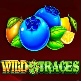 Play Wild Traces slot by Amusnet Interactive on spinfincasinoo.com